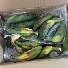 3kg Chuối Hột Già Tươi, Nải Chuối Hột, Chuối Già, Nhận Hàng 3 - 7 Ngày Chín