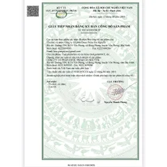 Viên uống Ginkgotin Max - Tăng Cường Tuần Hoàn Máu Não, Hỗ Trợ Tăng Cường Trí Nhớ Hộp 50 Viên