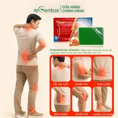 Miếng Dán Nóng Thảo Mộc PowerHerb Giữ Ấm Giảm Nhức Mỏi Cơ Xương Khớp Vùng Lưng Vai Gáy - 1 Hộp 20 Miếng