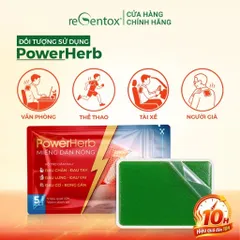 Miếng Dán Nóng Thảo Mộc PowerHerb Giữ Ấm Giảm Nhức Mỏi Cơ Xương Khớp Vùng Lưng Vai Gáy - 1 Hộp 20 Miếng