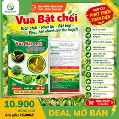 [NÔNG XANH ] Phân Bón Vua Bật Chồi 50g – Kích Rễ, Bật Chồi, Bung Đọt Mạnh, Lá Xanh Dày, Hỗ Trợ Ra Hoa Đậu Trái