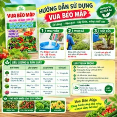 [NÔNG XANH] Phân bón lá Vua Béo Mập 50g – Phân Bón Kích Chồi, Nở Ngọn, Vươn Cây, Ra Rễ Mạnh, Xanh Lá, Dưỡng Lá Củ Quả