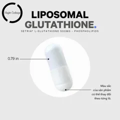 Viên Uống Hỗ Trợ Gan Thận Liposomal Glutathione 500mg - Giảm Nám, Tăng Cường Sức Khỏe, Chống Oxy Hóa, 60 Viên