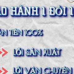 Tranh Mẹ Diêu Trì Địa Mẫu ( có khung ) đủ kích thước cực đẹp