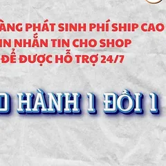 Tranh Mẹ Diêu Trì Địa Mẫu ( có khung ) đủ kích thước cực đẹp