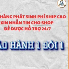 Tranh ĐỨC HUỲNH GIÁO CHỦ - có khung ,cực đẹp