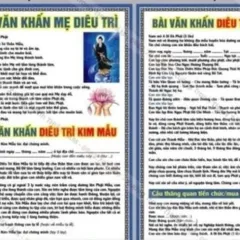 COMBO 15 Tờ Sám Hối Với Thai Nhi, IN 2 MẶT, ÉP PLASTICS NHIỀU CỠ cực đẹp