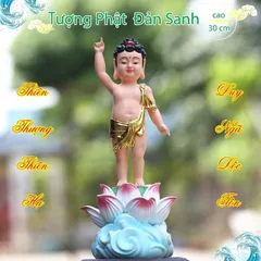 Tượng Phật Đản Sanh tọa đài sen áo giác vàng vẽ màu siêu đẹp
