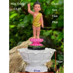 Tượng Phật Đản Sanh 60cm  composite vẻ màu cực đẹp ĐS14