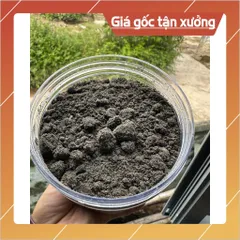 BỘT MÈ ĐEN ĐẬU ĐEN XANH LÒNG(1kg/2 hộp) 852221