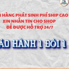 Tranh ĐẠI TƯỚNG VÕ NGUYÊN GIÁP - có khung cực đẹp