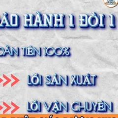 Tranh thờ - ĐỨC HUỲNH GIÁO CHỦ , có khung cực đẹp