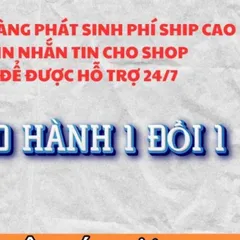 Tranh thờ - ĐỨC HUỲNH GIÁO CHỦ , có khung cực đẹp