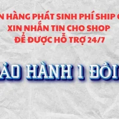 Tranh THÂT PHẬT DƯỢC SƯ - có khung cực đẹp