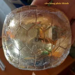 quẻ bói mai rùa vàng có hoả tốc