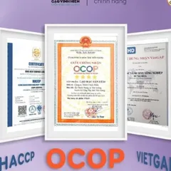 Gạo ST24 Vinh Hiển 2kg - Dẻo thơm nhiều, mềm, ngon cơm