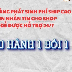 Tranh MẪU THƯỢNG THIÊN ĐỆ NHẤT - có khung cực đẹp