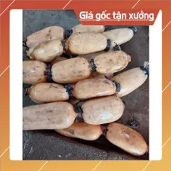 TINH BỘT CỦ SEN HƯƠNG NGUYÊN CHẤT( HỘP 500Gram) 852987