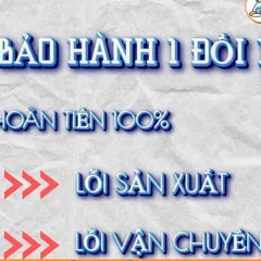 Tranh DANH Y - HOA ĐÀ , có khung cực đẹp
