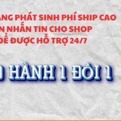 Tranh Hòa Thượng THÍCH QUẢNG ĐỨC - có khung cực đẹp