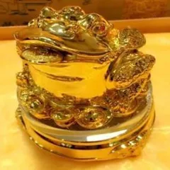 Cóc Thiềm Thừ vàng xoay có hoả tốc