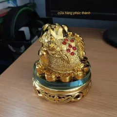 Cóc Thiềm Thừ vàng xoay có hoả tốc