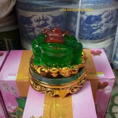 Cóc Thiềm Thừ xanh xoay có hoả tốc