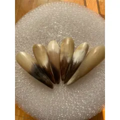 Dụng cụ day ấn huyệt sừng ống tròn LƯỢC TÂM massage cạo gió nguyên khối giúp giãn gân cốt toàn thân