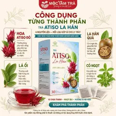 combo3 Trà Atiso Đỏ La Hán Mộc Tâm Túi Lọc 30 Gói x 3g – Vị Chua Thanh, Ngọt Dịu, Pha Nóng Hoặc Thêm Đá 854097