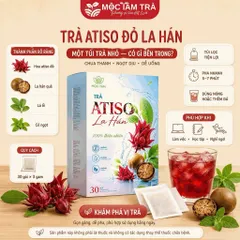 combo3 Trà Atiso Đỏ La Hán Mộc Tâm Túi Lọc 30 Gói x 3g – Vị Chua Thanh, Ngọt Dịu, Pha Nóng Hoặc Thêm Đá 854097