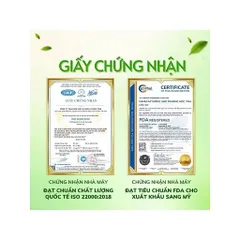 combo 2 hộp trà kim tiền thảo râu mèo 854112