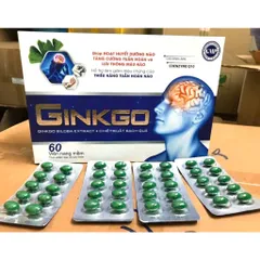 Ginko Cải thiện trí nhớ chứng mất ngủ hoạt huyết dưỡng não đau đầu chóng mặt tăng cường lưu thông máu viên