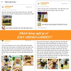 [Tặng tinh dầu] Túi Thơm Hạt Gỗ ESKY Aroma Garden Túi Thơm Treo Ô tô, Khử Mùi Tủ Quần Áo