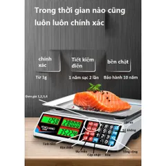 Cân điện tử tính tiền tích điện 30kg-chống nước hiệu quả 856801