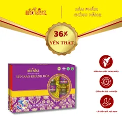 Yến sào khánh hòa chưng sẵn đông trùng hạ thảo 36% REDNEST 856798