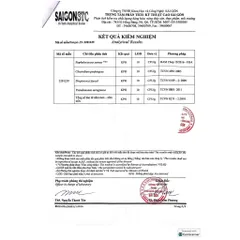 Yến sào khánh hòa chưng sẵn đông trùng hạ thảo 18% hộp quà REDNEST 856802