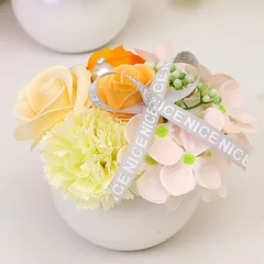 Hoa cẩm chướng sáp