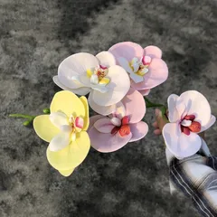Hoa lan hồ điệp bằng sáp