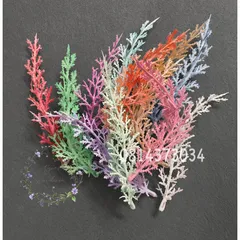 Cành cỏ điểm, cỏ điểm trắng trang trí hoa tươi, hoa sáp