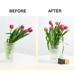 Giá đỡ hỗ trợ cắm hoa bằng nhựa