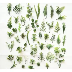 Cỏ điểm dùng để phối với hoa sáp, hoa lụa, hoa giấy