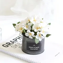 Chậu Hoa cẩm tú cầu trang trí bàn học, bàn làm việc