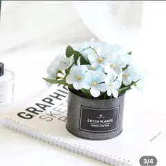 Chậu Hoa cẩm tú cầu trang trí bàn học, bàn làm việc