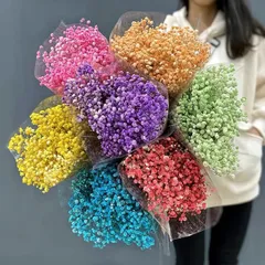 Hoa baby khô trang trí bó lớn