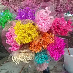 Hoa baby khô trang trí bó lớn