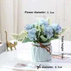 Chậu hoa cẩm chướng mini để bàn