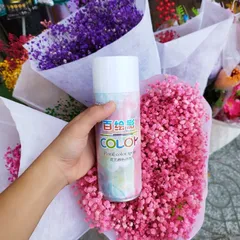 Sơn xịt hoa khô hoa tươi 450ml