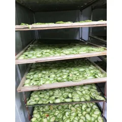 MƯỚP ĐẮNG KHÔ (KHỔ QUA)