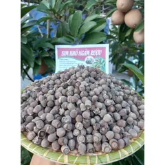 sim rừng khô tự nhiên loại 1