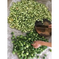 MƯỚP ĐẮNG KHÔ (KHỔ QUA)